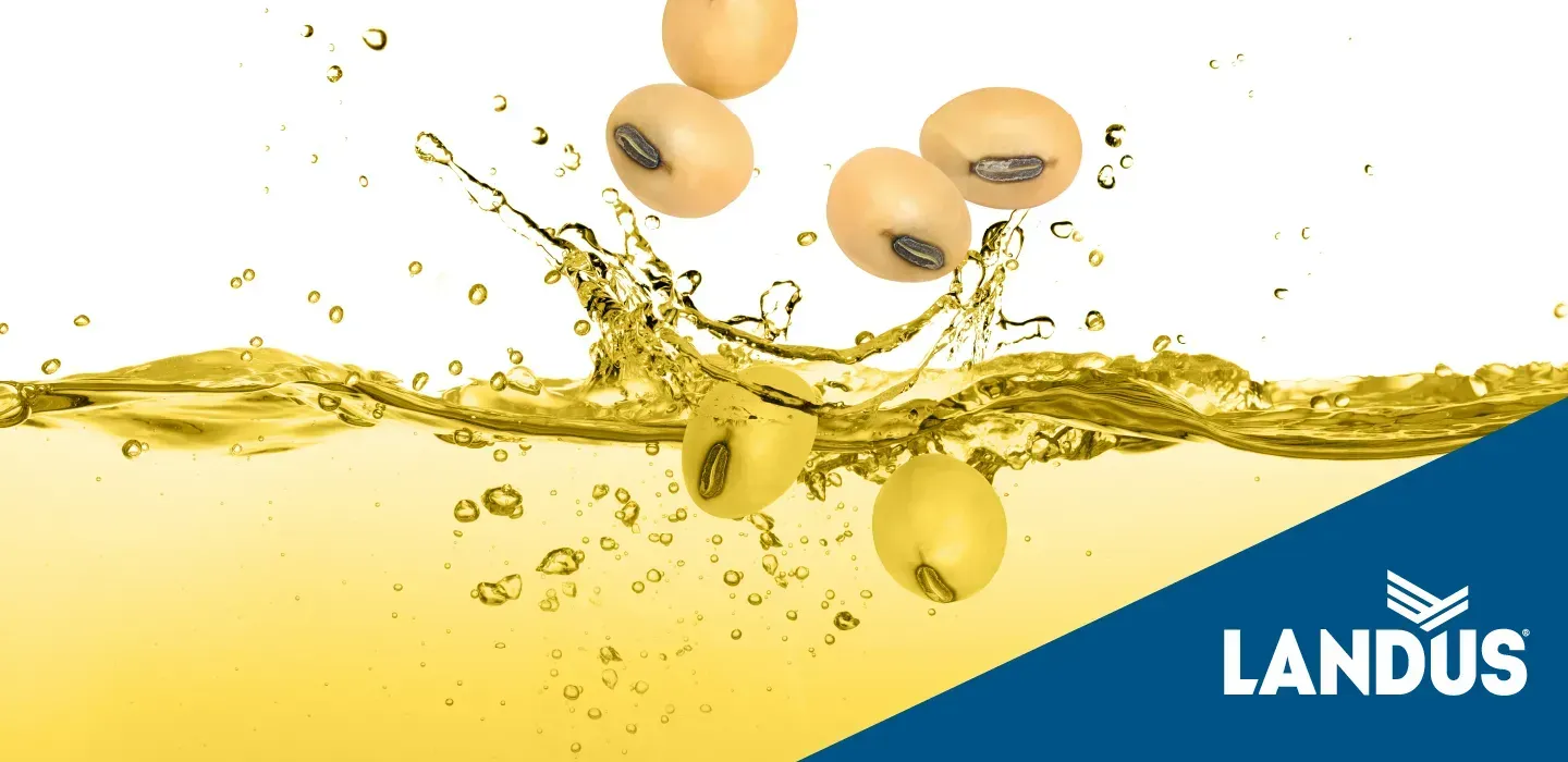 Rural Matters: Record Oil Imports Highlight Need for Domestic Content