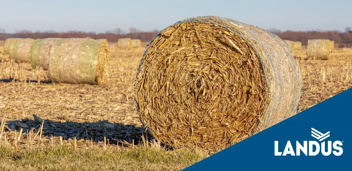 Agronomy Tech Tips: Phosphorus & Potassium Removal for Grain & Stover